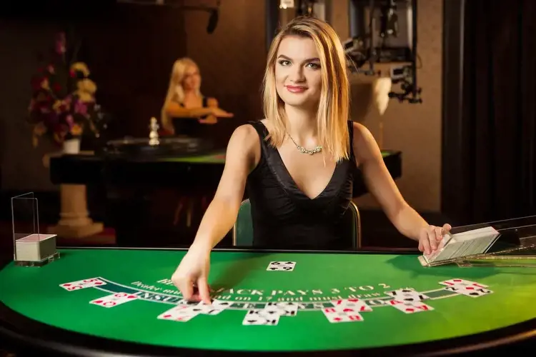 Behind the Scenes: The Secret Lives of Live Casino Dealers!