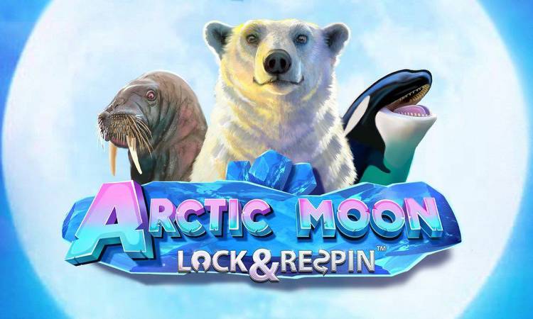 Brace for a big win arctic blast with Live 5’s latest slot release