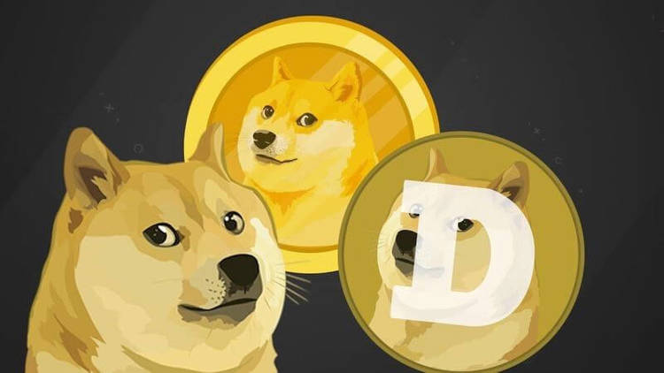 DOGE Gambling and How It Can Be Profitable: Everything about DOGE Gambling