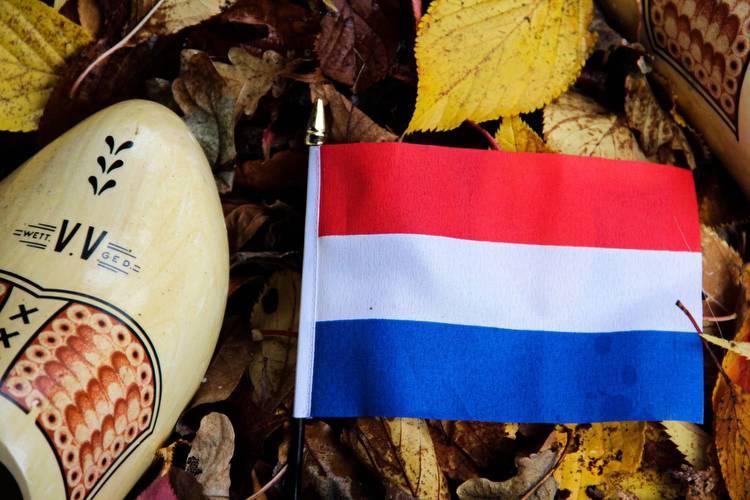 Dutch Gaming Authority offers update on gambling industry