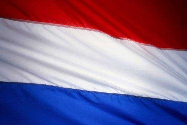Dutch online market primed for quick growth