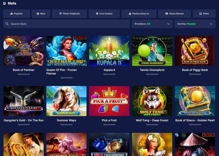 The slot section boasts thousands of releases from more than 30 providers. 