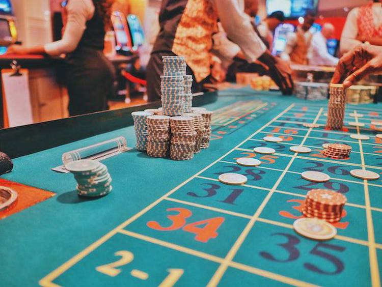 How to Organize a Perfect Casino Trip