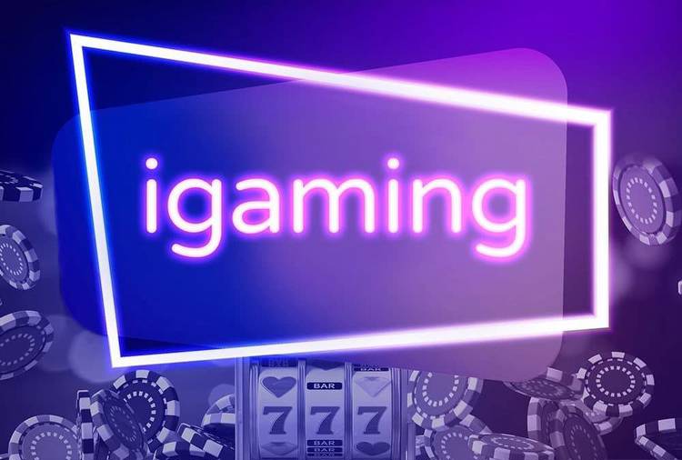 Live Dealer Gaming Now the Highlight Of the iGaming Industry!