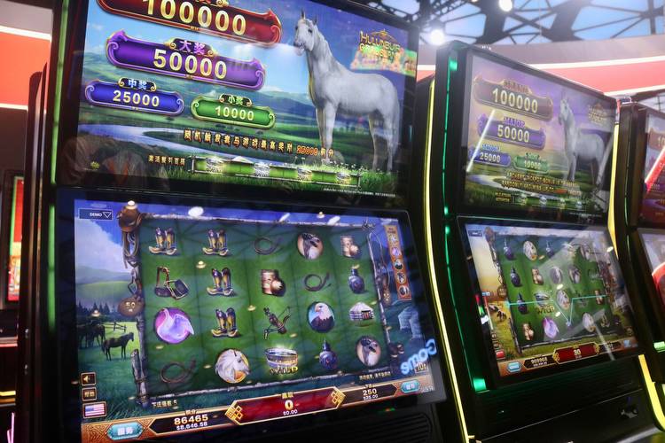 LT Game launches two new slot machine games at MGS