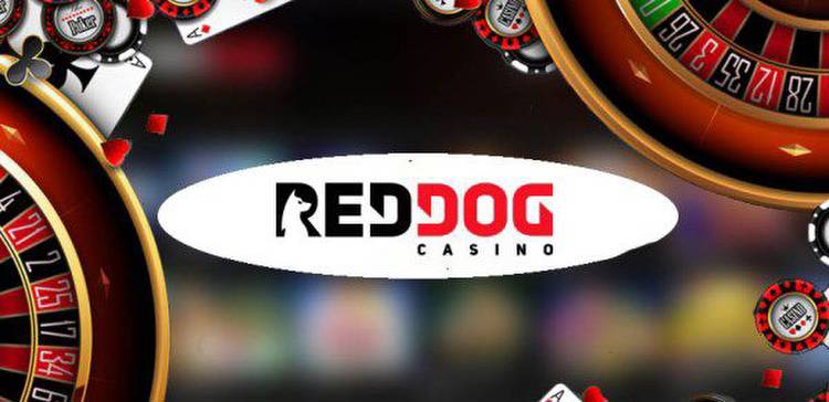 No Deposit Real Money Casino: Everything you Need to Know