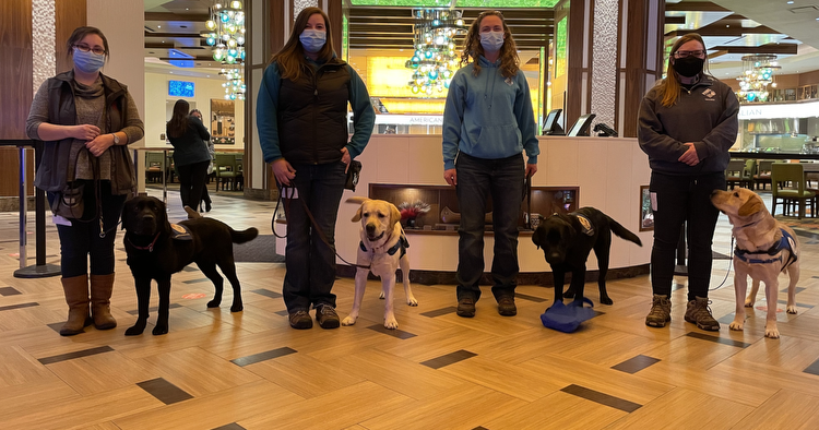 Paws with a Cause assistance dogs to be trained at Gun Lake Casino