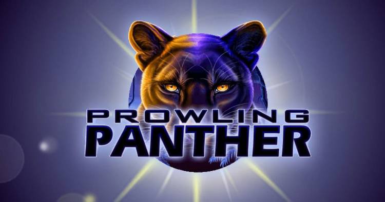 Prowling Panther