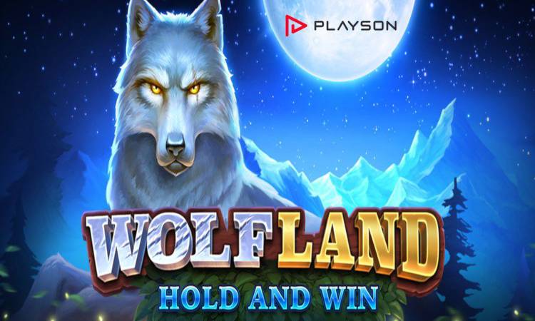 Take an Epic Journey to a Chilly Wilderness in Playson’s Wolf Land: Hold and Win