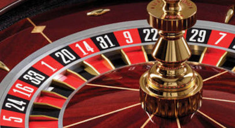 What Should You Look for in an Online Casino?