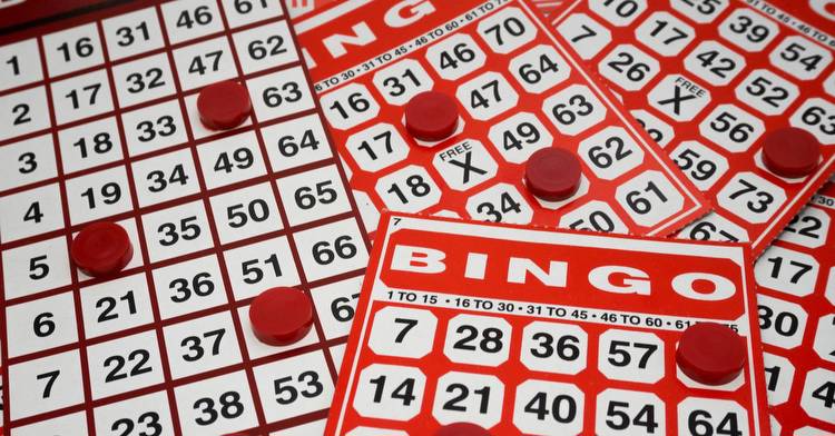 Why do we need to choose Bingo online games & their importance in the market?