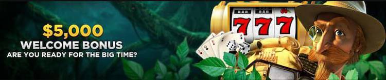 wild casino welcome bonus codes