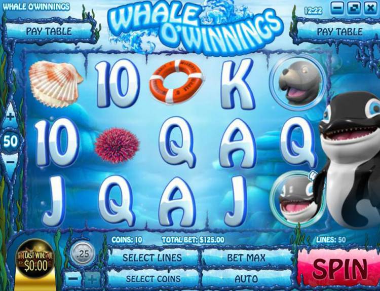 Wild Casino New Slot: Whale O'Winnings Offers High-Value Icons