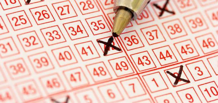 Woman wins $103,472 lottery jackpot while waiting for sandwich