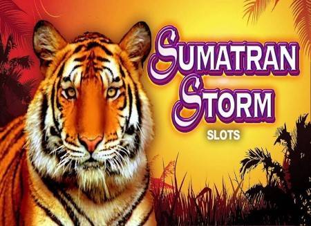 Recommended Slot Game To Play: Sumatran Storm