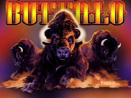 Featured Slot Game: Buffalo Slots