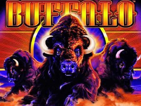 Slot Game of the Month: Buffalo Slots