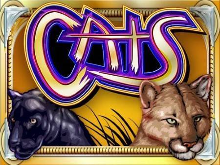 Featured Slot Game: Cats Slots