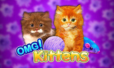 Recommended Slot Game To Play: Omg Kittens Slot