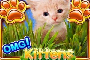 Featured Slot Game: Omg Kittens Slot