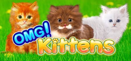 Featured Slot Game: Omg Kittens Slots
