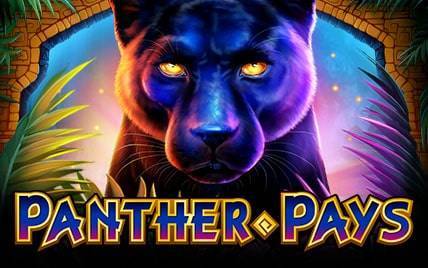 Recommended Slot Game To Play: Panther Pays Slot
