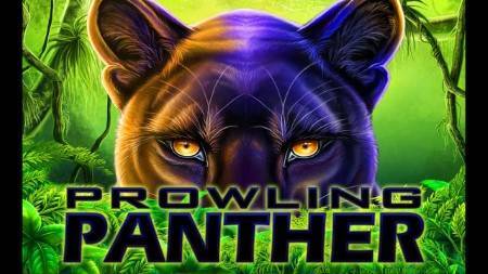 Slot Game of the Month: Prowling Panther Slots