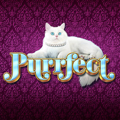 Slot Game of the Month: Purrfect Slots