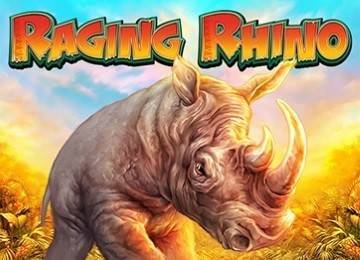 Slot Game of the Month: Raging Rhino Slots