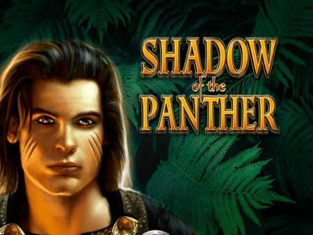 Featured Slot Game: Shadow of Panter Slot