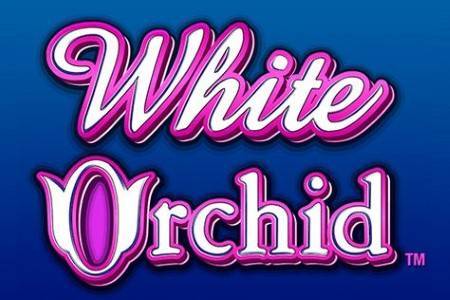 Recommended Slot Game To Play: White Orchid Slots